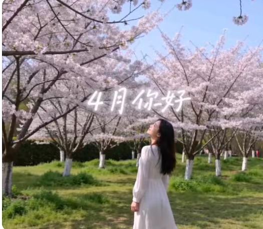四月，你好